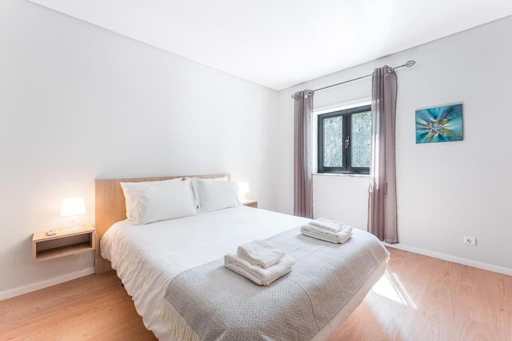 Fernandes Apartments Ponte de Lima Zewnętrze zdjęcie
