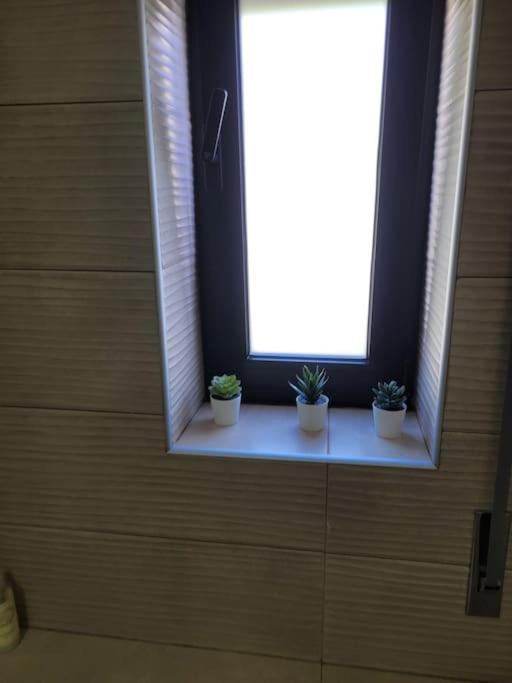 Fernandes Apartments Ponte de Lima Zewnętrze zdjęcie